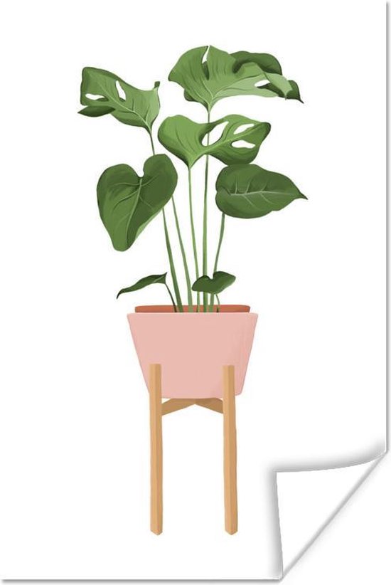 Illustratie van een Monstera plant op een witte achtergrond 120x180 cm XXL / Groot formaat! - Foto print op Poster (wanddecoratie woonkamer / slaapkamer)