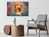 Doe-het-zelf op canvas schilderen - Dog With Rose-60x40
