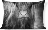 Sierkussens - Kussen - Zwart-wit portret van een Schotse hooglander - 50x30 cm - Kussen van katoen