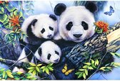 Diamond Painting Panda - Ronde steentjes  - Volledig pakket  - 5D - 24 kleuren  - 25x35cm  - Soft canvas - Diamond Painting volwassenen  - Diamond Painting Dieren