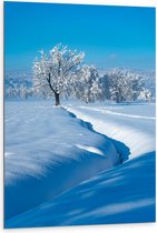 Dibond - Dicht gesneeuwde Sloot - 80x120cm Foto op Aluminium (Wanddecoratie van metaal)