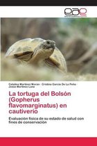 La tortuga del Bolsón (Gopherus flavomarginatus) en cautiverio