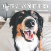 Australian Shepherd