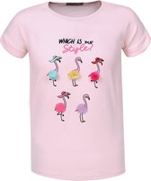 Meisjes shirt GLO-STORY flamingo maat 104 roze