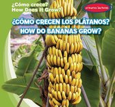 ?Como Crecen Los Platanos? / How Do Bananas Grow?