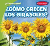 ?Como Crecen Los Girasoles? (How Do Sunflowers Grow?)