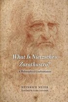 What is Nietzsche`s Zarathustra? – A Philosophical Confrontation