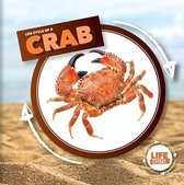 Life Cycles- Life Cycle of a Crab