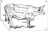 Muurdecoratie Antieke illustratie met het slagersdiagram van een rund - 180x120 cm - Tuinposter - Tuindoek - Buitenposter