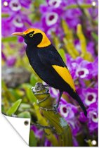 Muurdecoratie Prieelvogel tussen de paarse bloemen - 120x180 cm - Tuinposter - Tuindoek - Buitenposter