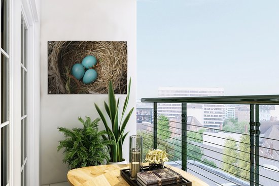 Décoration de jardin Oeufs - Blauw - Rouge-gorge - 60x40 cm - Affiche de jardin - Toile de jardin