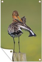 Affiche de jardin - Barge à queue noire sur perche - 80x120 cm