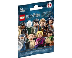 LEGO Harry Potter en Fantastic Beasts Minifigures Serie 1 - 71022