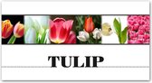 Tuinposter - Bloemen / Bloem - Collage / Tulpen / Tulip in wit / zwart / roze / groen - 100 x 200 cm
