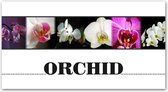 Tuinposter - Bloemen / Bloem - Collage / Orchidee / Orchid in wit / zwart / paars - 60 x 120 cm