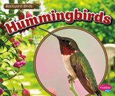Backyard Birds - Hummingbirds