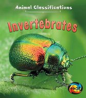 Animal Classifications - Invertebrates