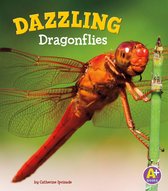 Bugs Are Beautiful! - Dazzling Dragonflies