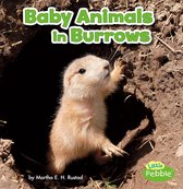 Baby Animals and Their Homes - Baby Animals in Burrows
