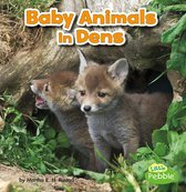 Baby Animals and Their Homes - Baby Animals in Dens