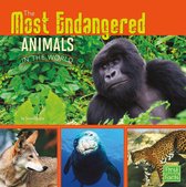 All About Animals - The Most Endangered Animals in the World
