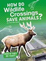 How'd They Do That? - How Do Wildlife Crossings Save Animals?