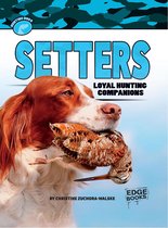 Hunting Dogs - Setters
