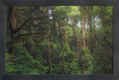 JUNIQE - Poster in houten lijst Australian Bushland -40x60 /Groen