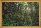 JUNIQE - Poster met houten lijst Australian Bushland -30x45 /Groen