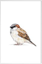 JUNIQE - Poster met kunststof lijst Spatz -13x18 /Bruin & Wit