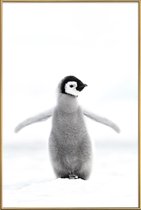 JUNIQE - Poster met kunststof lijst Lone Penguin -40x60 /Grijs & Wit