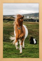 JUNIQE - Poster met houten lijst Shetland Pony's -13x18 /Bruin & Groen