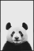 JUNIQE - Poster in kunststof lijst Panda II -20x30 /Wit & Zwart