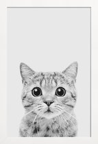 JUNIQE - Poster in houten lijst Kitten Classic -30x45 /Wit & Zwart