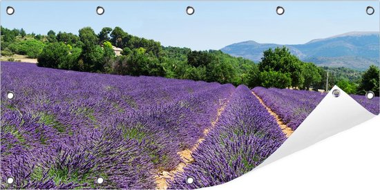 Tuinposter Lavendelveld 100 x 50 cm incl. Metalen ringen - (Buitenposter - Tuindoek - Buitencanvas - Schilderijen voor buiten - tuin decoratie)