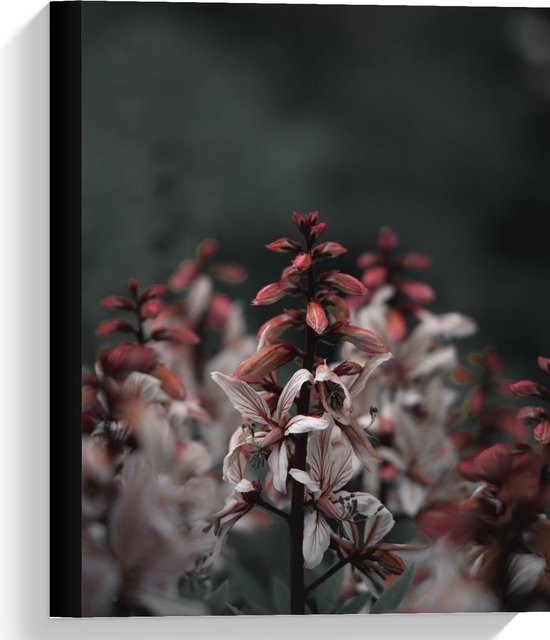 Canvas  - Rood-Witte Bloemen - 30x40cm Foto op Canvas Schilderij (Wanddecoratie op Canvas)