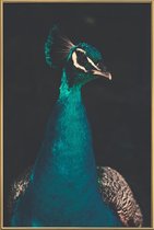 JUNIQE - Poster met kunststof lijst Peacock And Proud -40x60 /Ivoor &