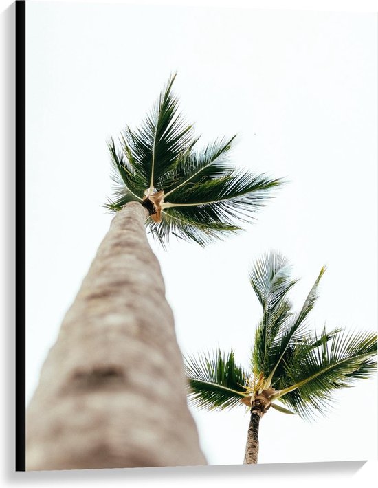 Canvas  - Onderaanzicht van Palmbomen - 75x100cm Foto op Canvas Schilderij (Wanddecoratie op Canvas)