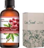 CareScent Castor Olie (Koudgeperst) | Plantaardige Olie / Draagolie / Basisolie | Castor Oil | voor Haar, Huid en Lichaam | 100% Puur | Castorolie - 100 ml