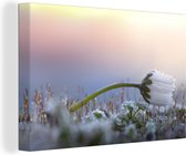 Canvas Schilderij Herfst - Bloem - Kou - 30x20 cm - Wanddecoratie