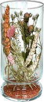 Droogbloemen in glas - Terracotta kleurtinten - Dried flowers - Gedroogde bloemen