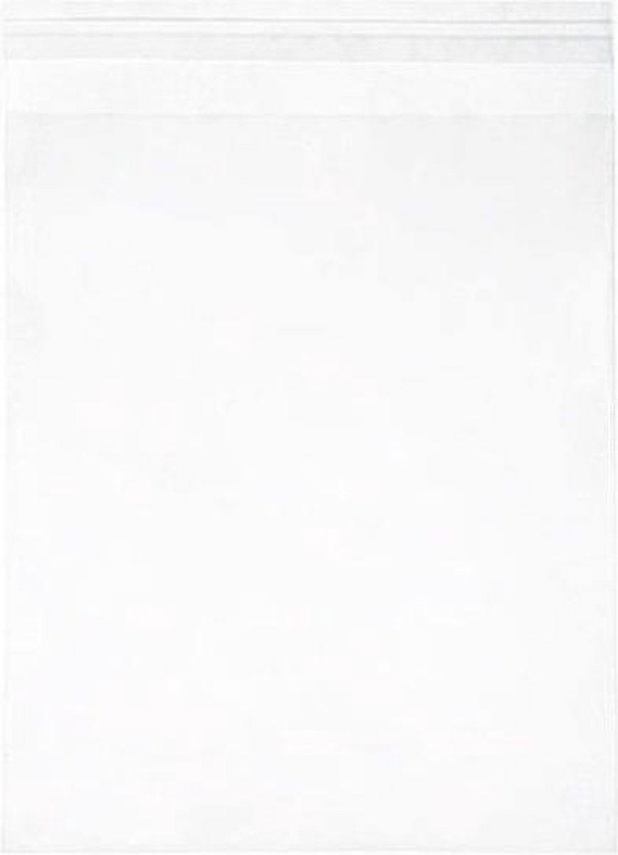 Goedkoopste Milieuvriendelijke Zakjes Bioplastic 83x105mm - 100 st