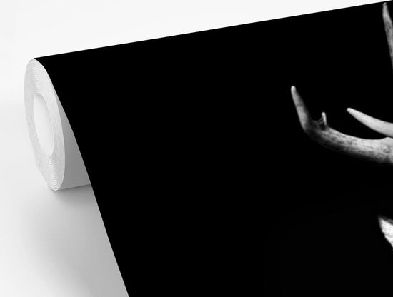 Papier peint - Papier peint Papier peint photo Profil animal cerf en noir et blanc - Largeur 360 cm x hauteur 240 cm