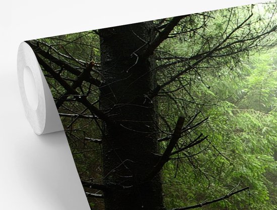 Behang - Fotobehang Frankrijk - Bos - Groen - Breedte 350 cm x hoogte 260 cm - Nr1Wallpaper
