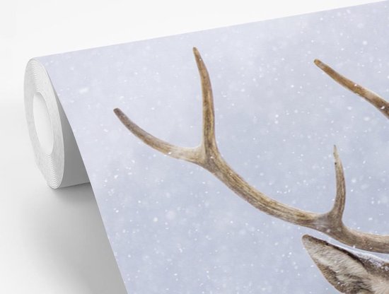 Papier peint photo peint photo vinyle - Cerf en hiver largeur 360 cm x hauteur 240 cm - Tirage photo sur papier peint (disponible en 7 tailles)