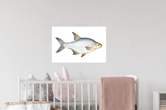 Stickers Stickers muraux - Poisson - Kolblei - Réalisme - 60x40 cm - Feuille adhésive