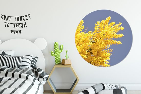 Fleurs de mimosa jaune vif avec ciel bleu Sticker mural cercle papier peint ⌀ 120 cm / cercle papier peint / cercle mural / cercle vivant - auto-adhésif et découpe ronde