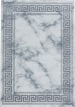 Modern laagpolig vloerkleed Naxos - zilver 3818 - 120x170 cm