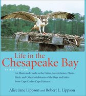 Life in the Chesapeake Bay