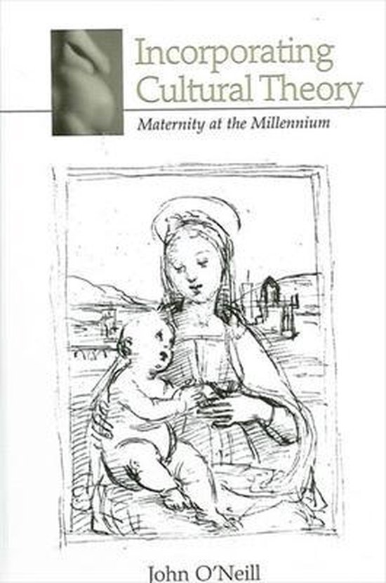 Incorporating Cultural Theory - cover